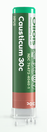 Cantharis (80p) - Ollois