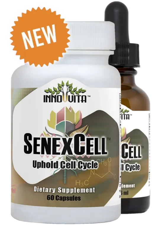 Inno-Vita SenexCell™ -- 60 veggie capsules - Uphold Cell Cycle