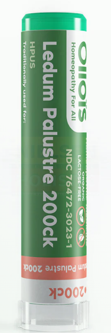 Ledum Palustre (80p) - Ollois