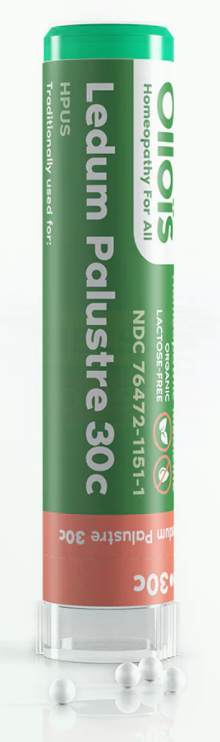 Ledum Palustre (80p) - Ollois