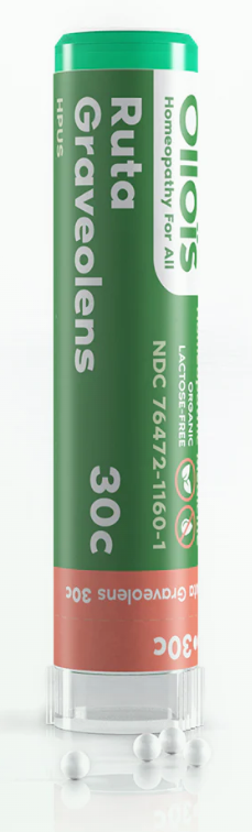 Ruta Graveolens (80p) - Ollois