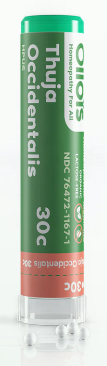 Thuja Occidentalis (80p) - Ollois